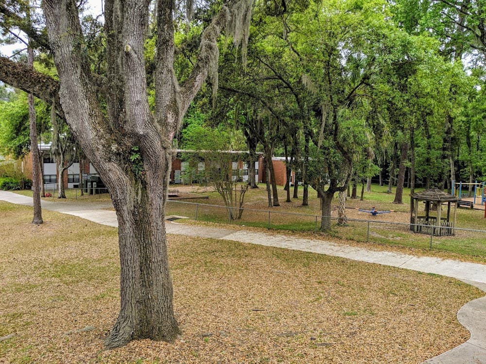 Imagen de la galería 4