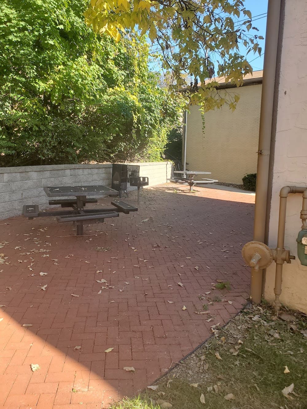 Gallery Image 9