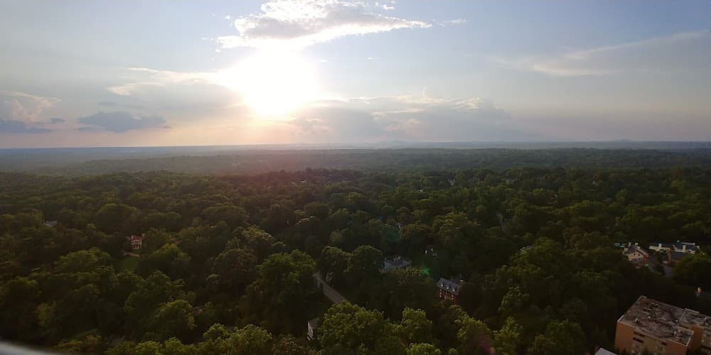 Imagen de la galerĂa 7