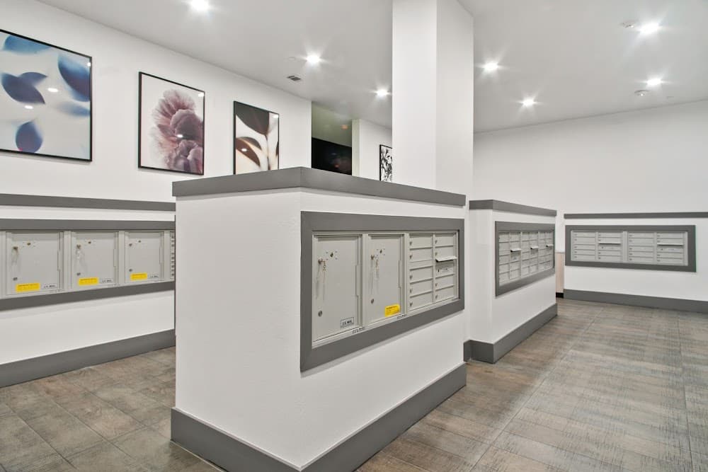 Imagen de la galería 6