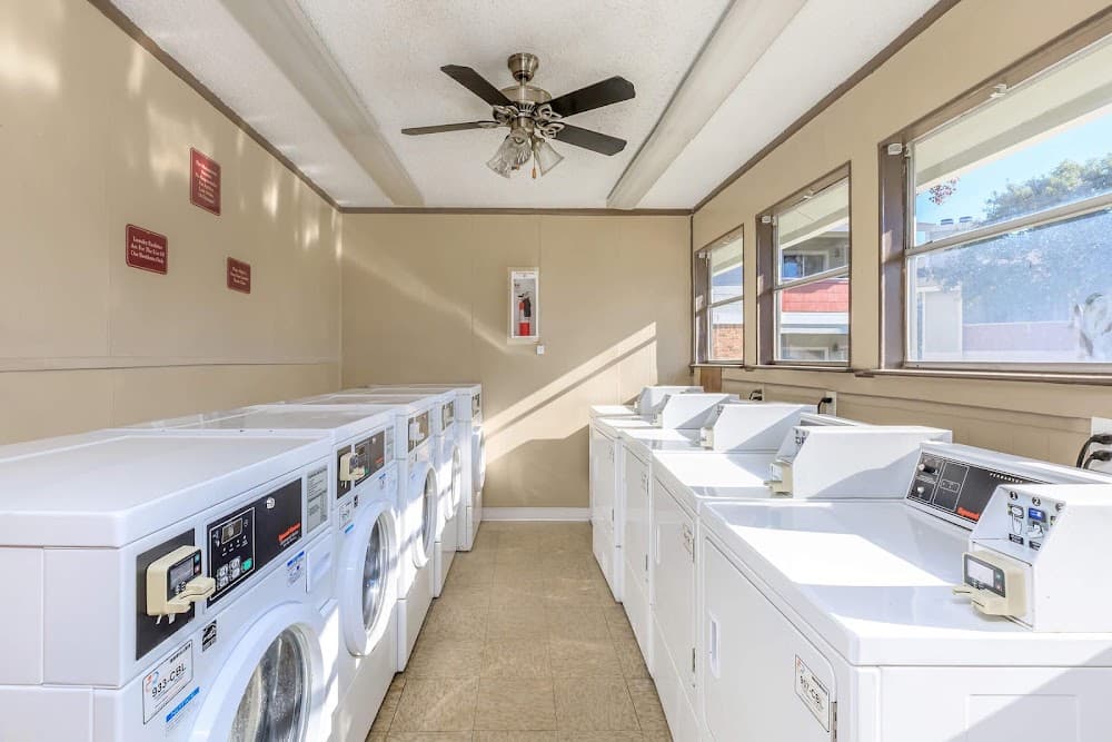 Imagen de la galerĂa 6