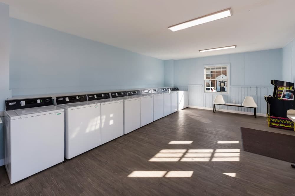 Gallery Image 9