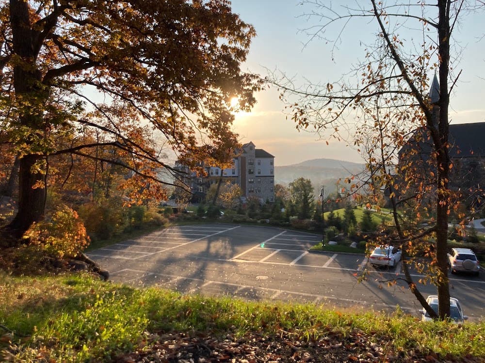 Imagen de la galerĂa 5