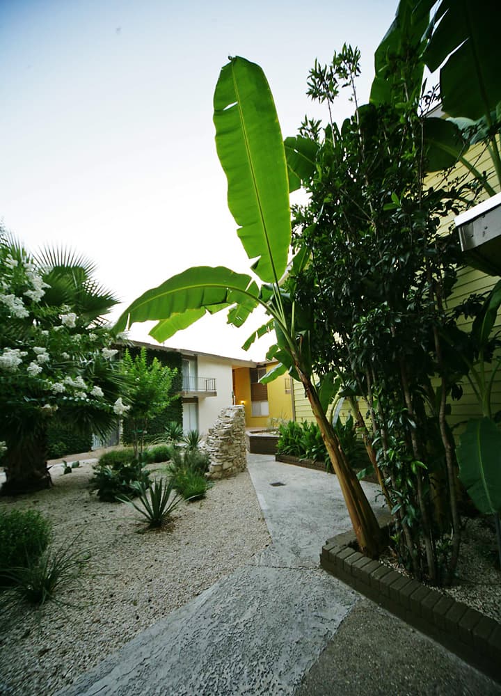 Imagen de la galería 5
