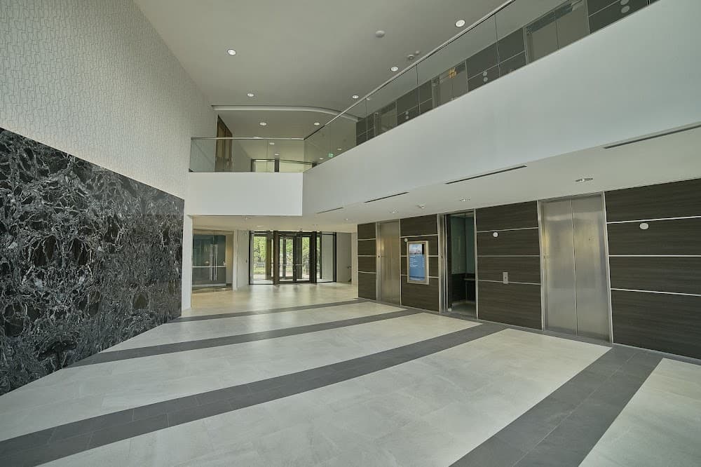 Imagen de la galería 7