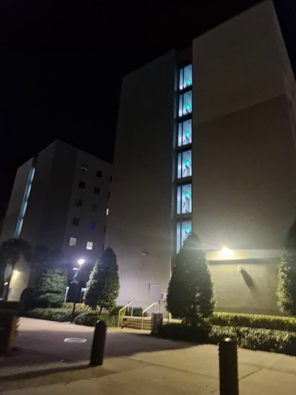 Imagen de la galería 2