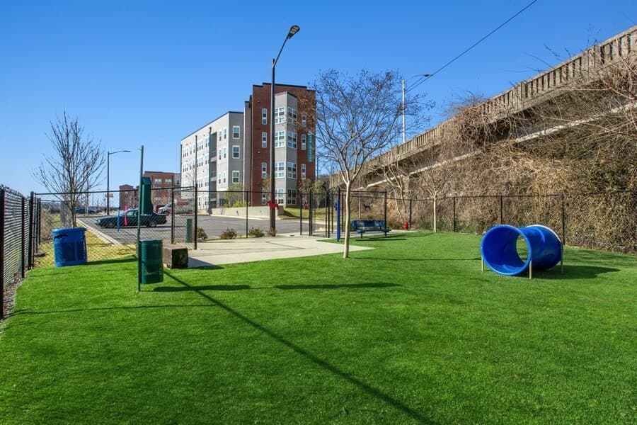 Imagen de la galerĂa 7