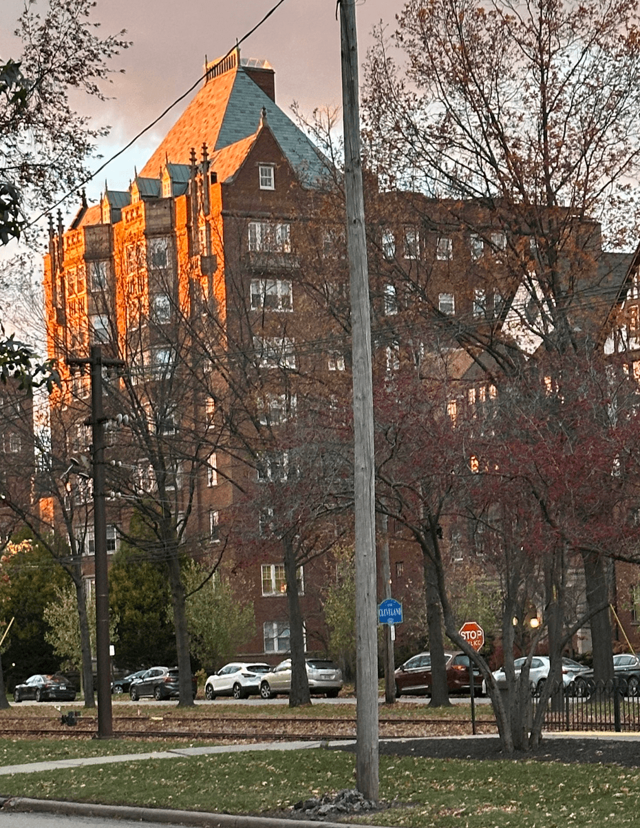 Imagen de la galerĂa 4