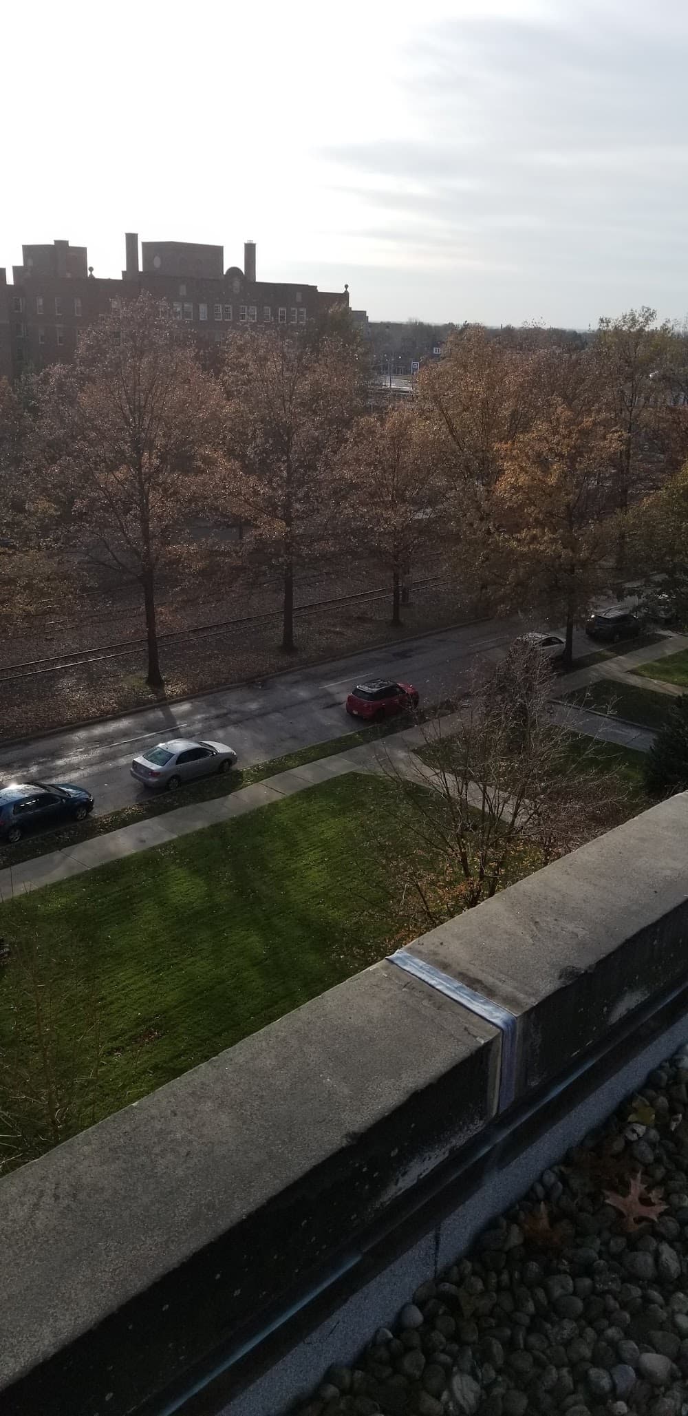 Imagen de la galerĂa 6