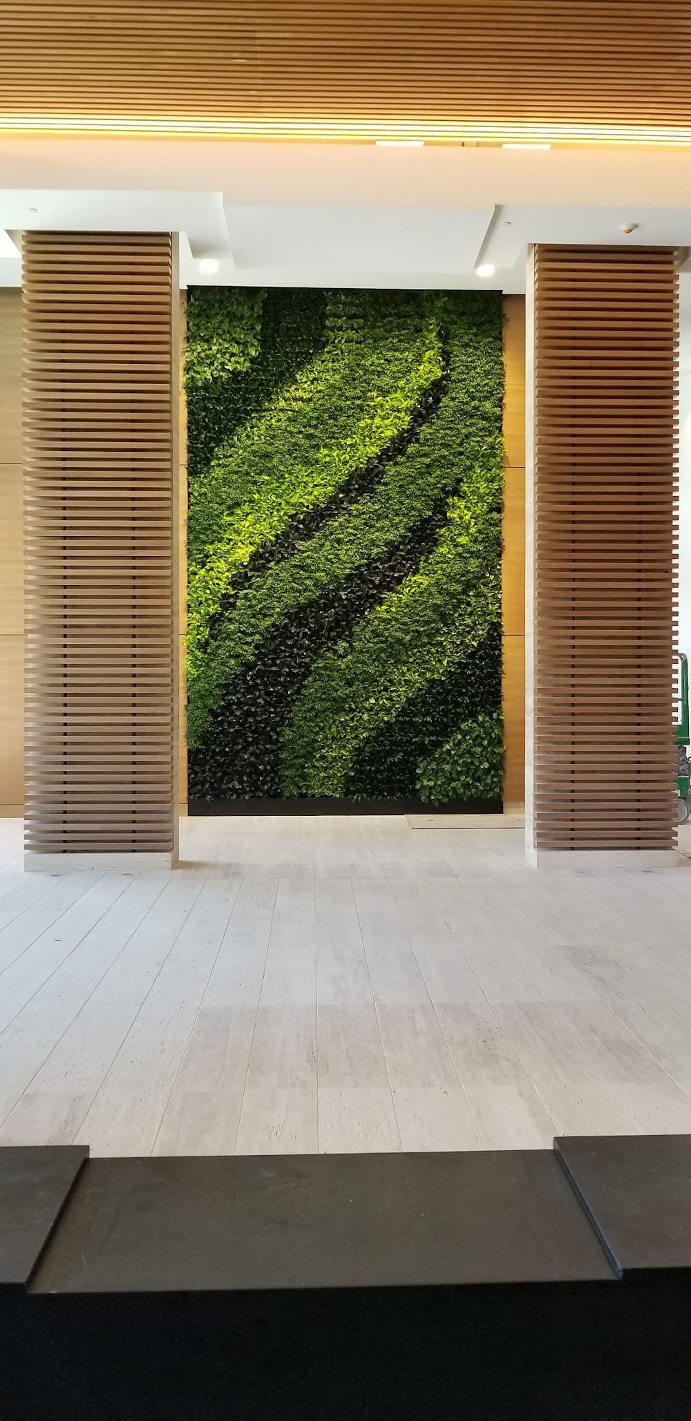 Imagen de la galería 5