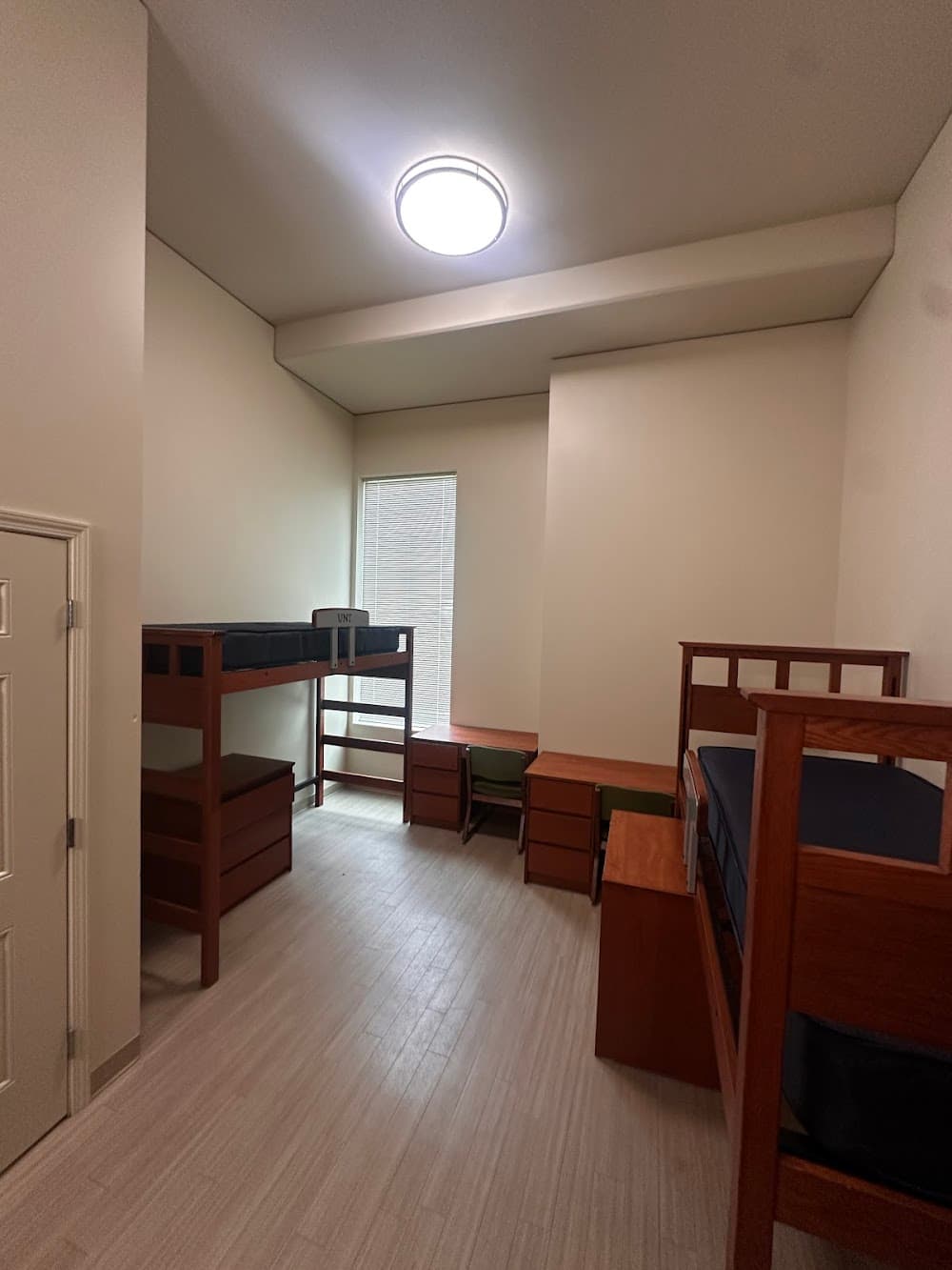 Imagen de la galería 2