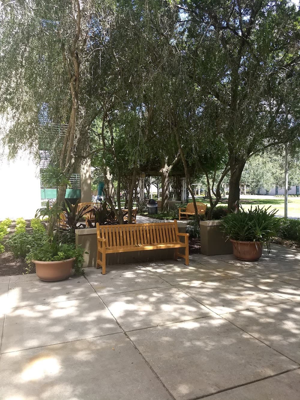 Gallery Image 7