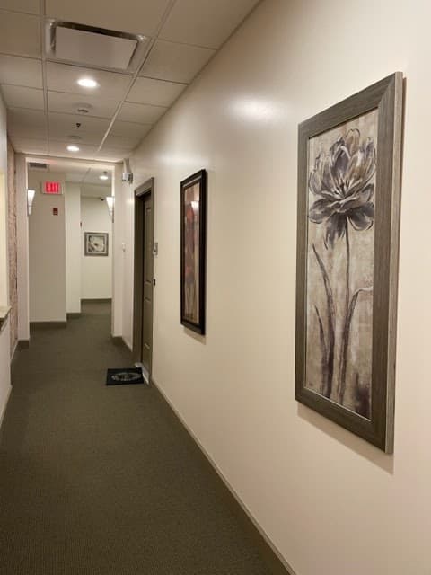 Imagen de la galería 7