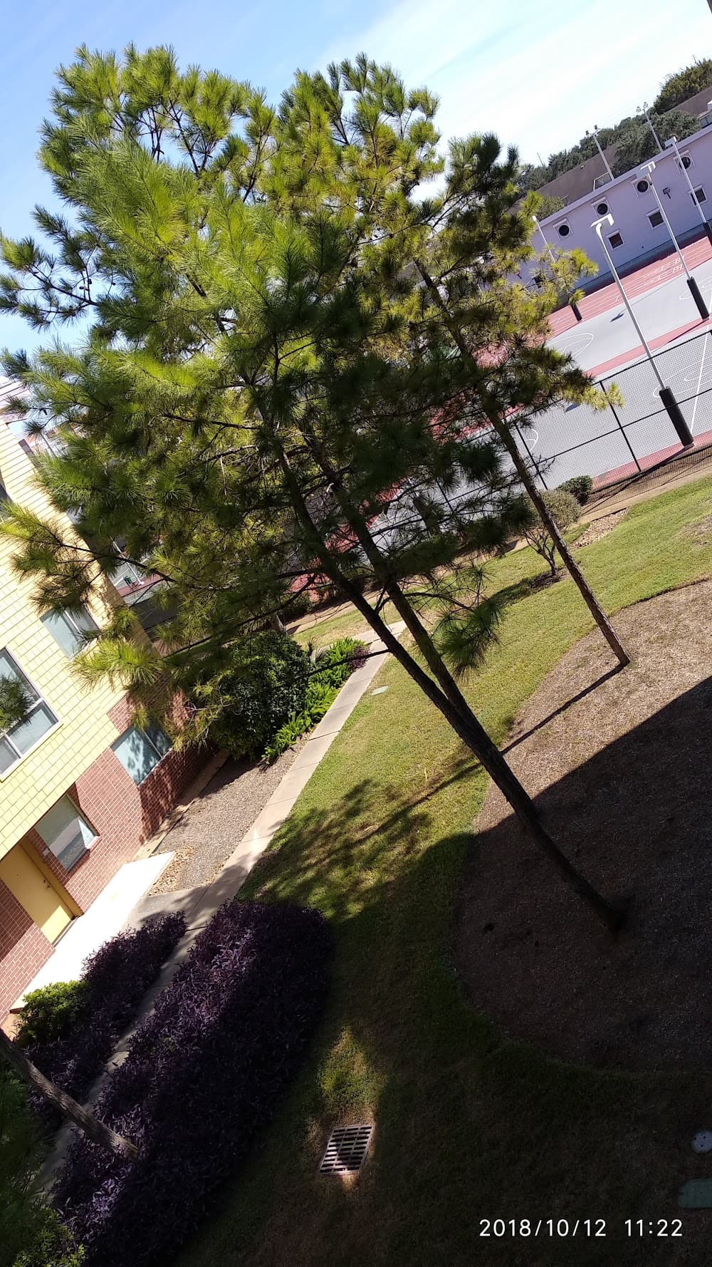 Imagen de la galería 1