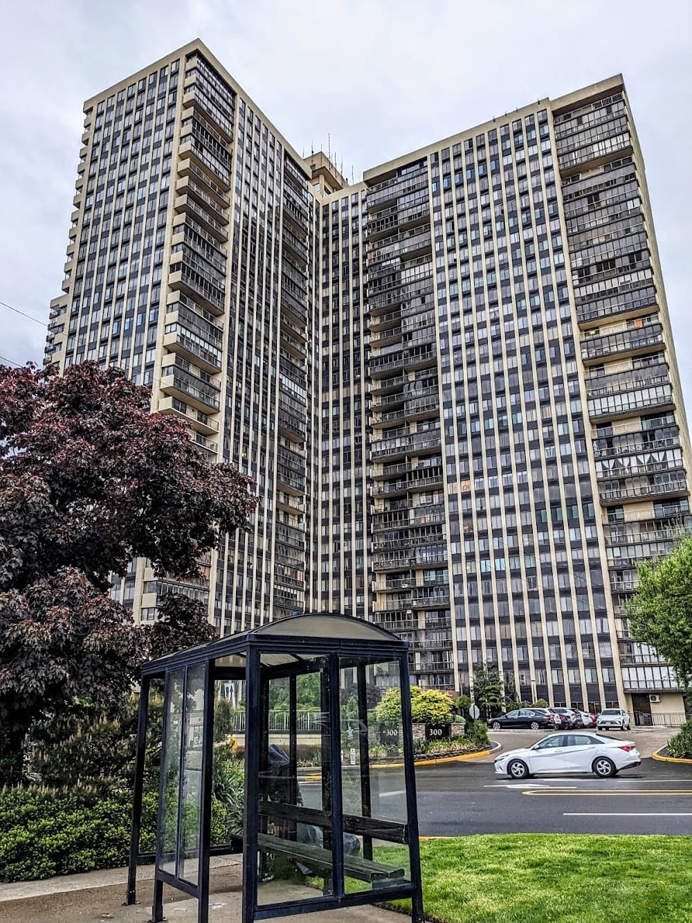 Imagen de la galería 9