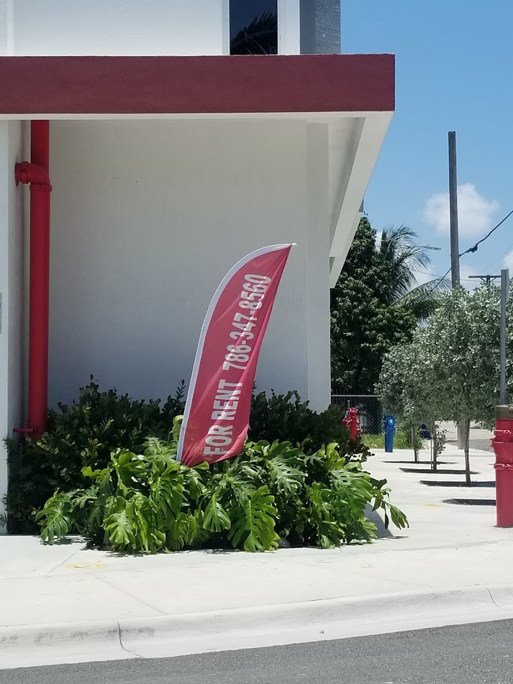 Imagen de la galería 1