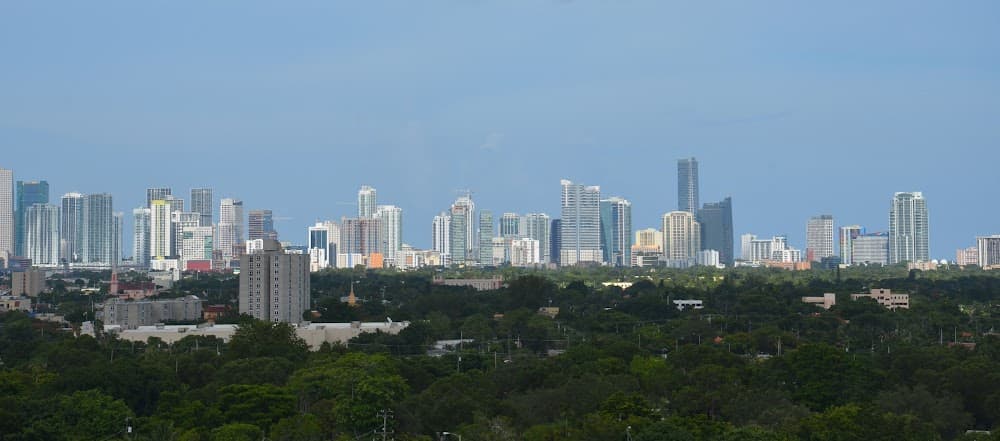 Imagen de la galería 4