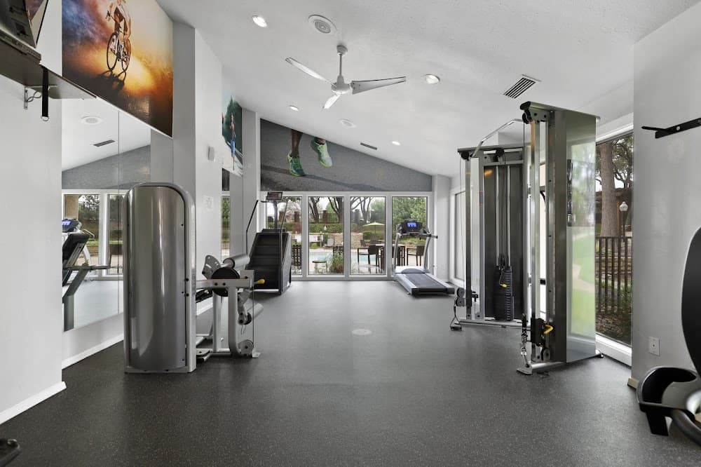 Imagen de la galería 6