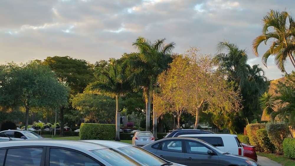 Imagen de la galería 4