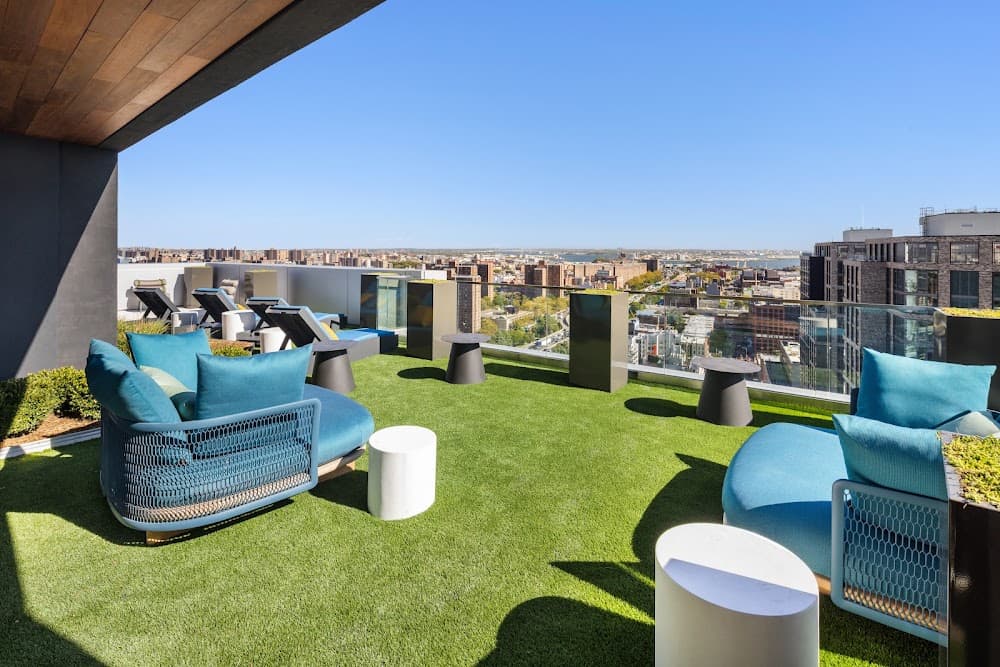 Imagen de la galería 5