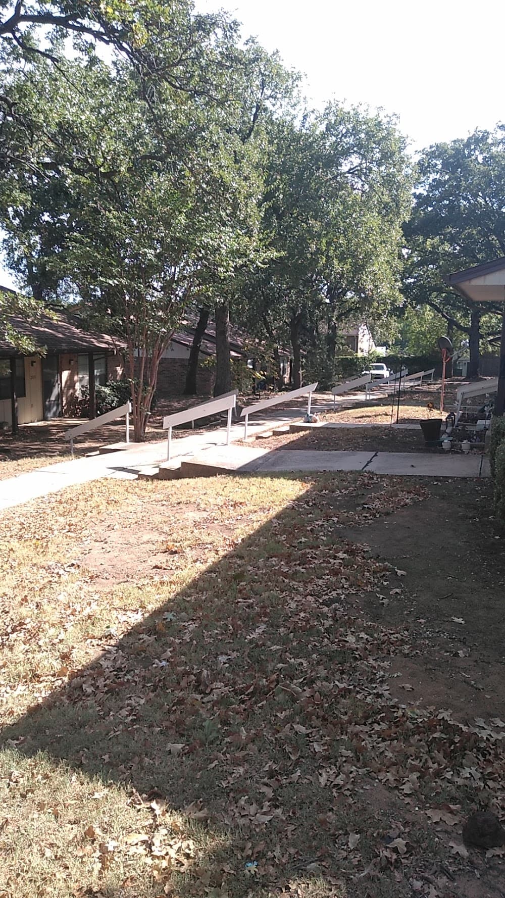 Imagen de la galería 6