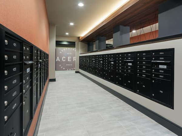 Imagen de la galería 5