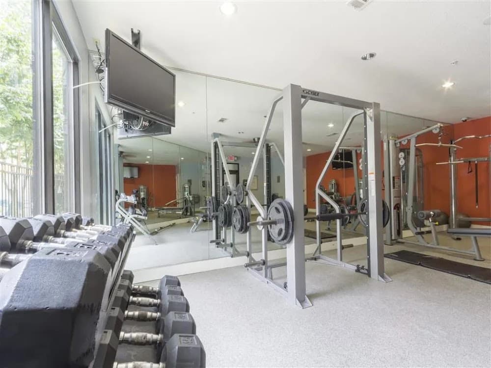 Gallery Image 8