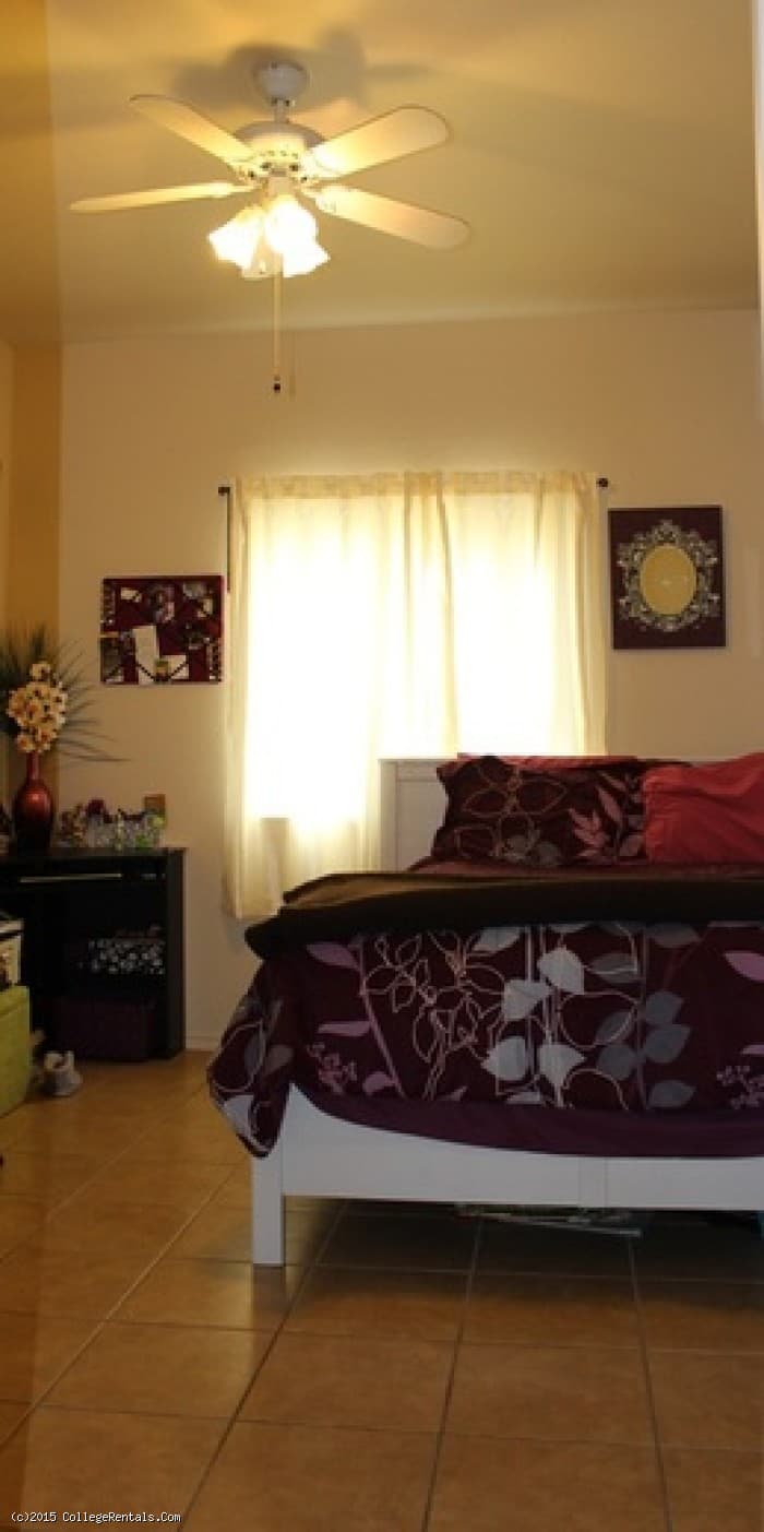 Imagen de la galería 2