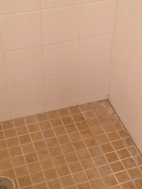 Imagen de la galería 4